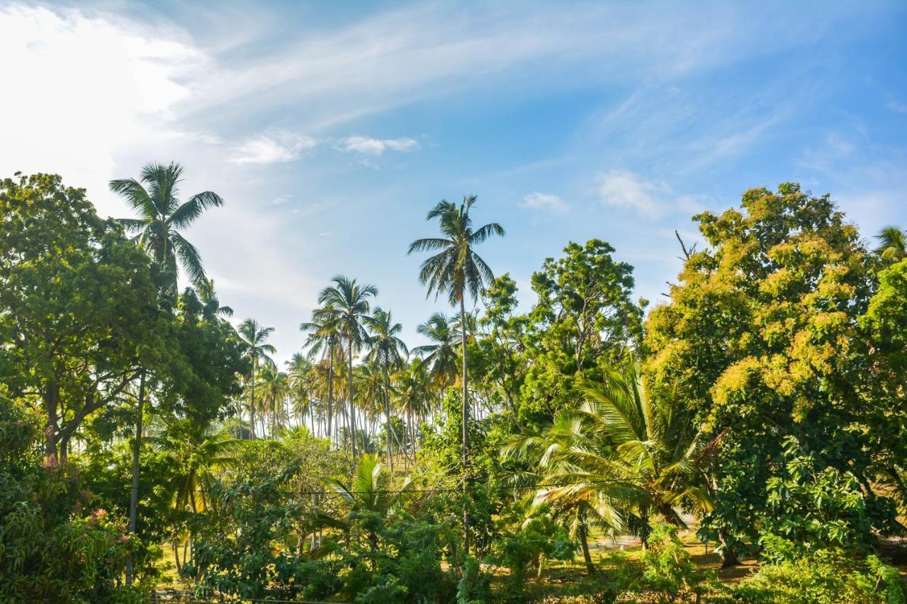 Janu Homestay Tangalle Dış mekan fotoğraf